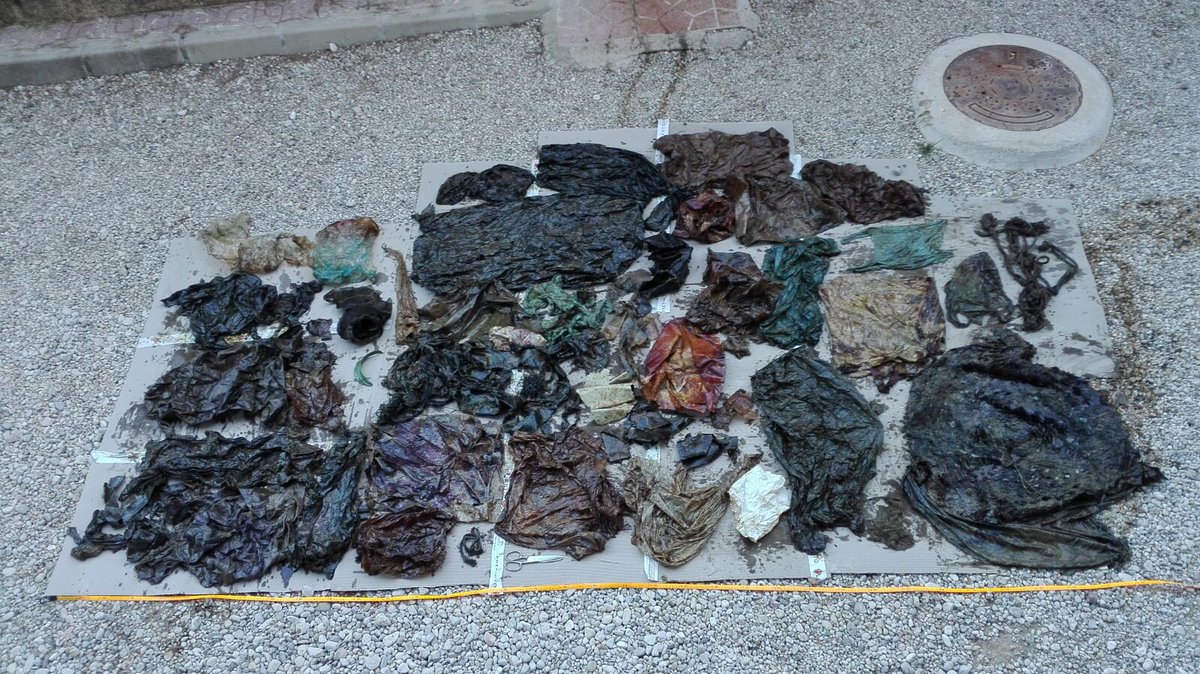 This plastic was found inside the stomach of a sperm whale that washed up on shore in Spain. 