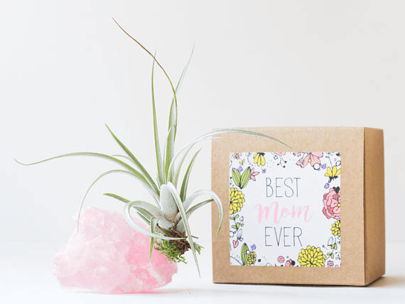This stunning handmade planter comes with a rose quartz crystal as well as a personalized box. Whether Mom is looking for a new desk decor or just something to give attention to, she’ll love to see this plant thrive within weeks.Price: $48Available at Etsy