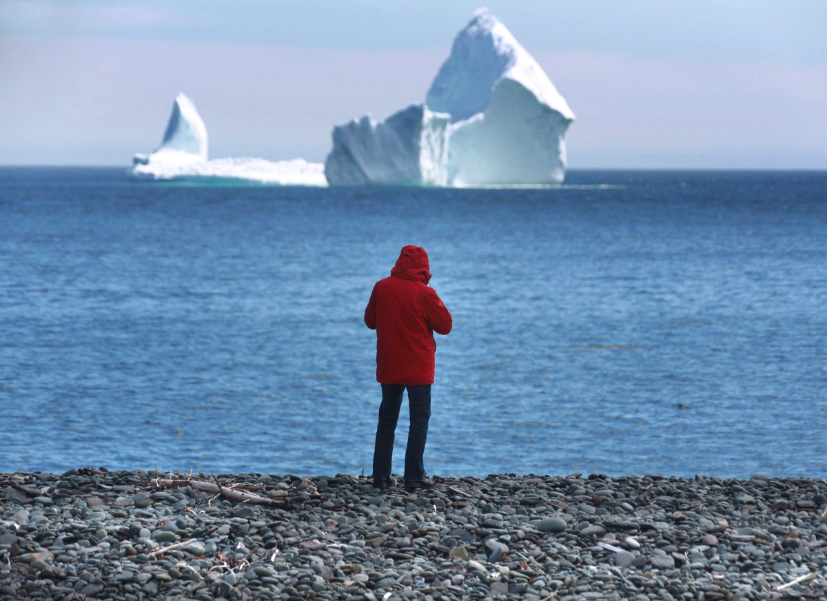 Newfoundland tour operators optimistic despite bleak start to iceberg