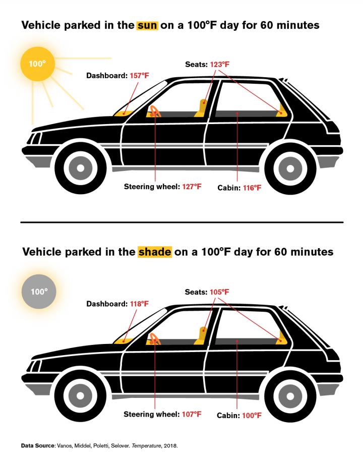 Cars can become deadly after one hour in the sun on a hot summer day.