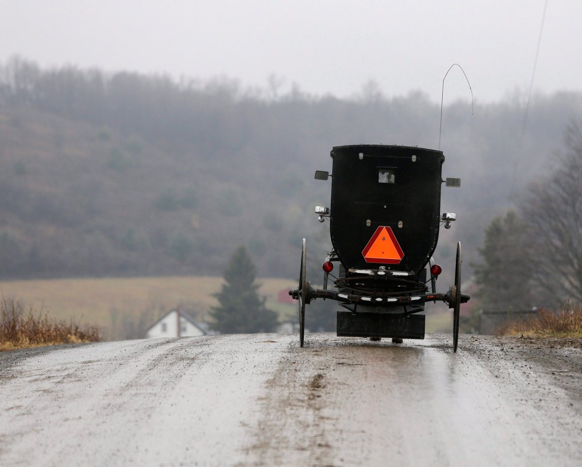 File Photo - A horse-drawn buggy travels along a country road in Springfield, N.Y., Dec. 8, 2012.
