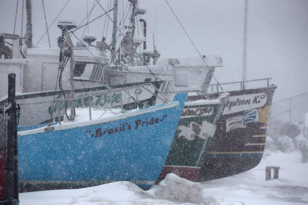 Snow falls in St. John's, N.L., on Tuesday, February 14, 2017. Parts of Newfoundland are bracing for a spring snow storm, with more than 30 centimetres expected in some areas. 