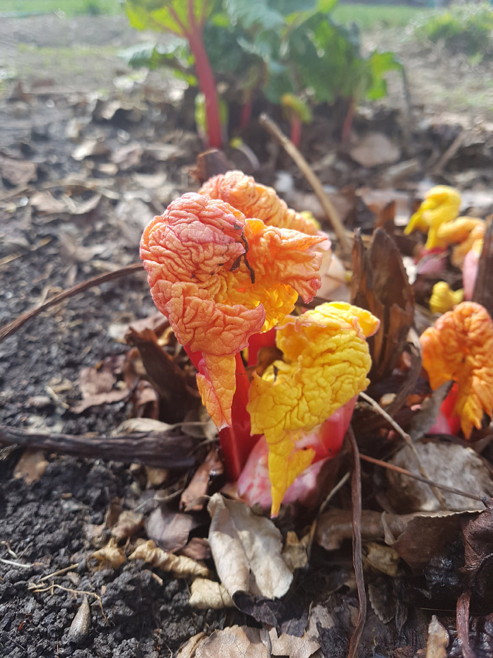 The May 18 Your Saskatchewan photo was taken by Cheryl Solanik in Biggar.