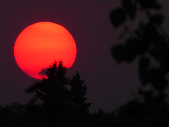 The Your Saskatchewan photo for May 31 was taken in Saskatoon by Deborah Vanston.
