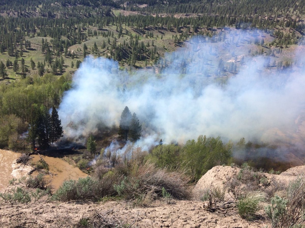Wildfire ignites near Merritt - image