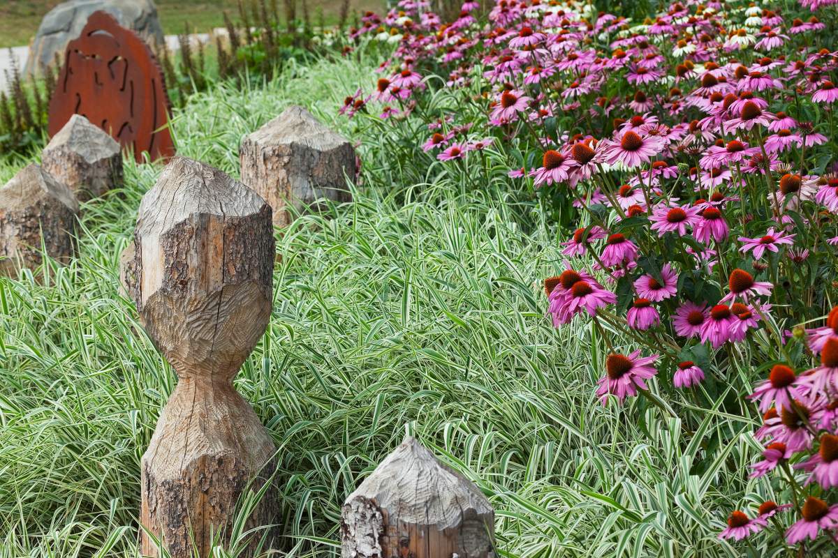 Garden Festival! - image