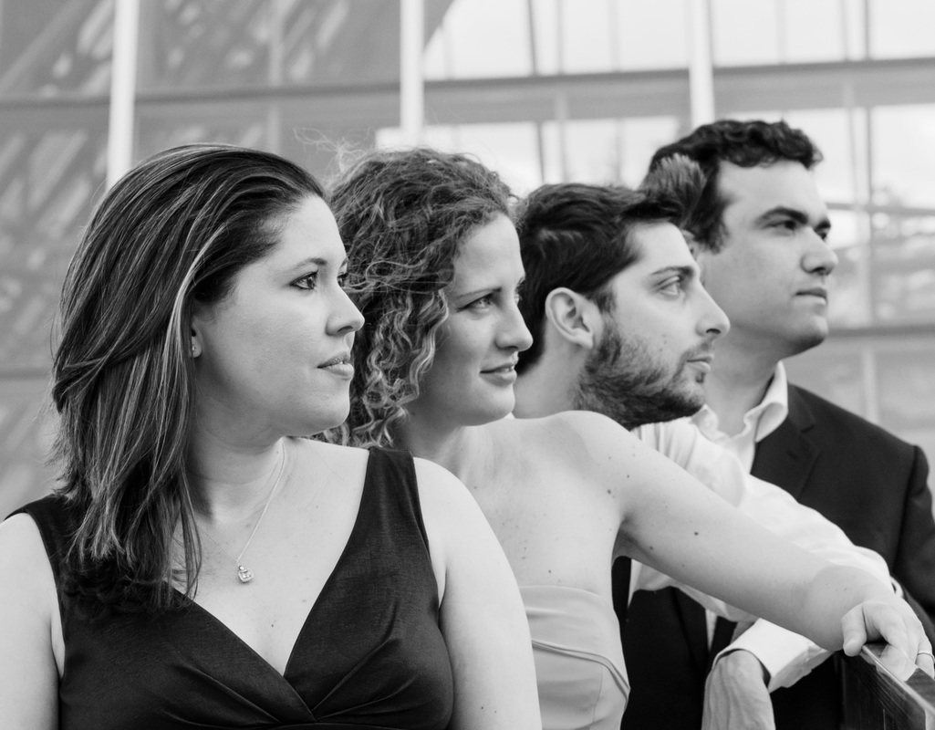 Vaughan String Quartet Concert - image