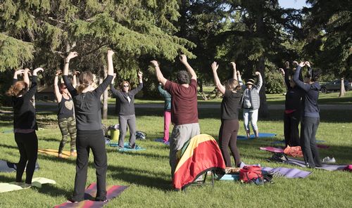 Spring Forest Qi-Gong - image