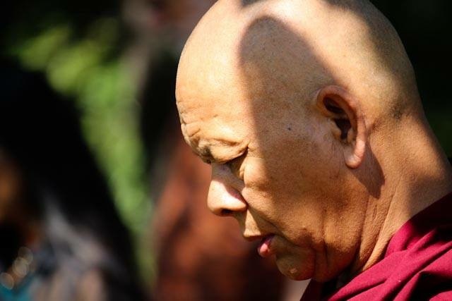 Calm Abiding Meditation Retreat - image