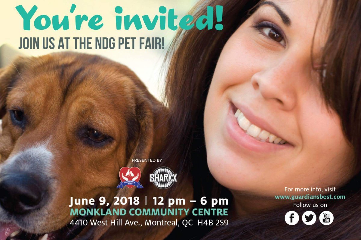 NDG Pet Fair - image