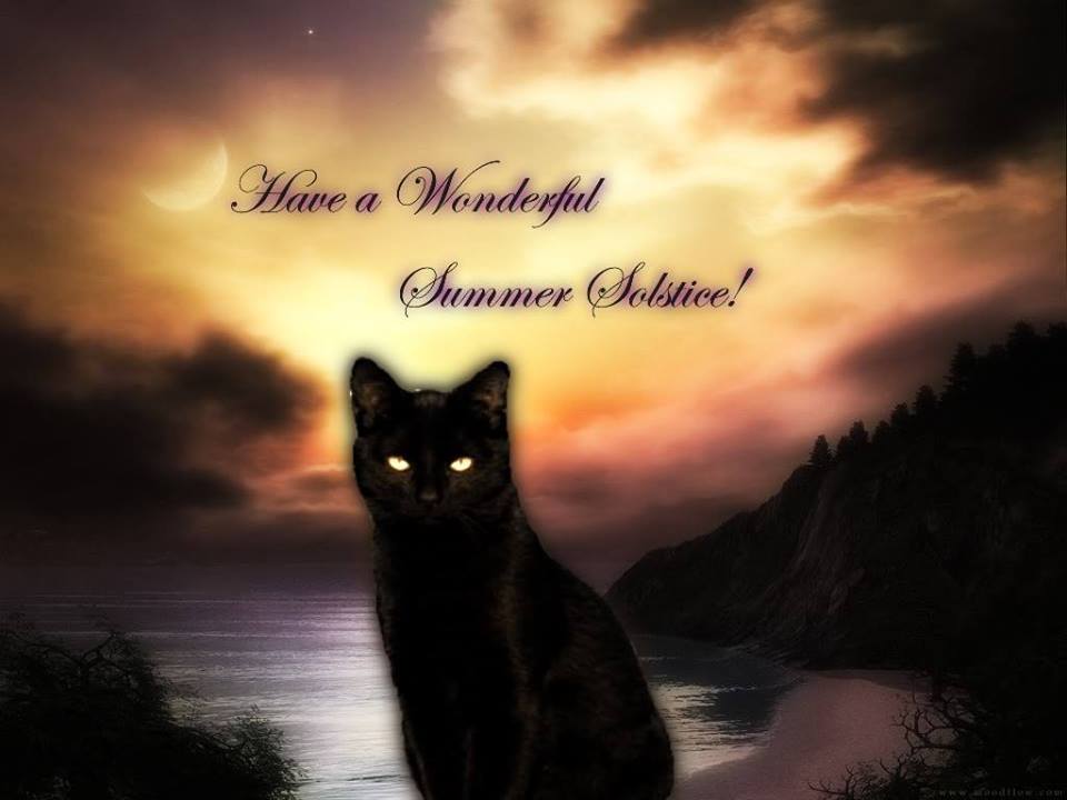 Midsummer Witches MArket - image