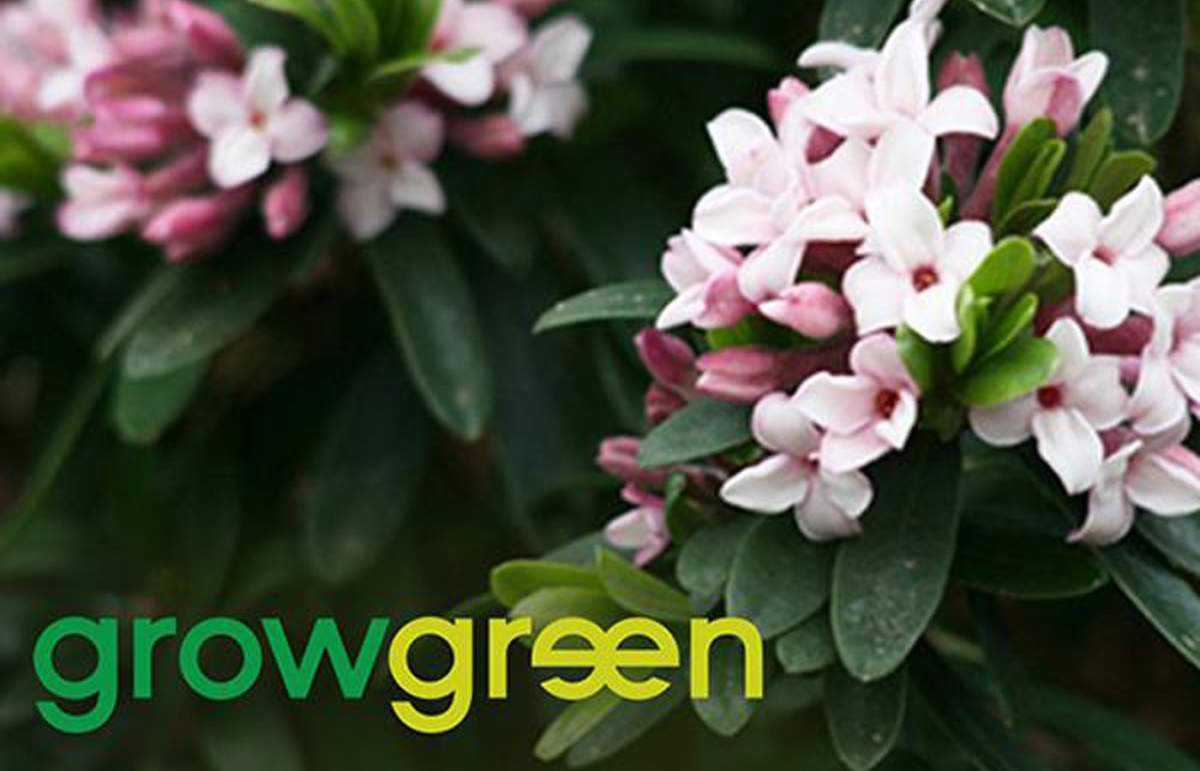 UBC Botanical Garden – Garden Days Grow Green Guide Tour - image