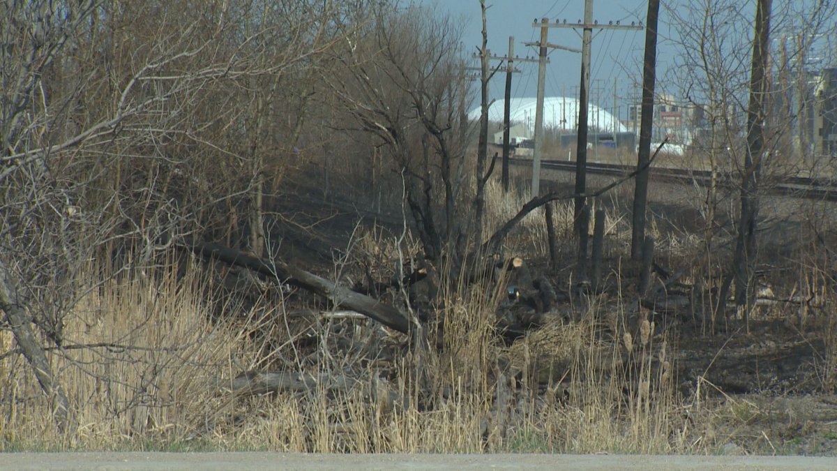 A fire started near the train tracks on Wilkes Avenue and Shaftesbury Boulevard on May 6.