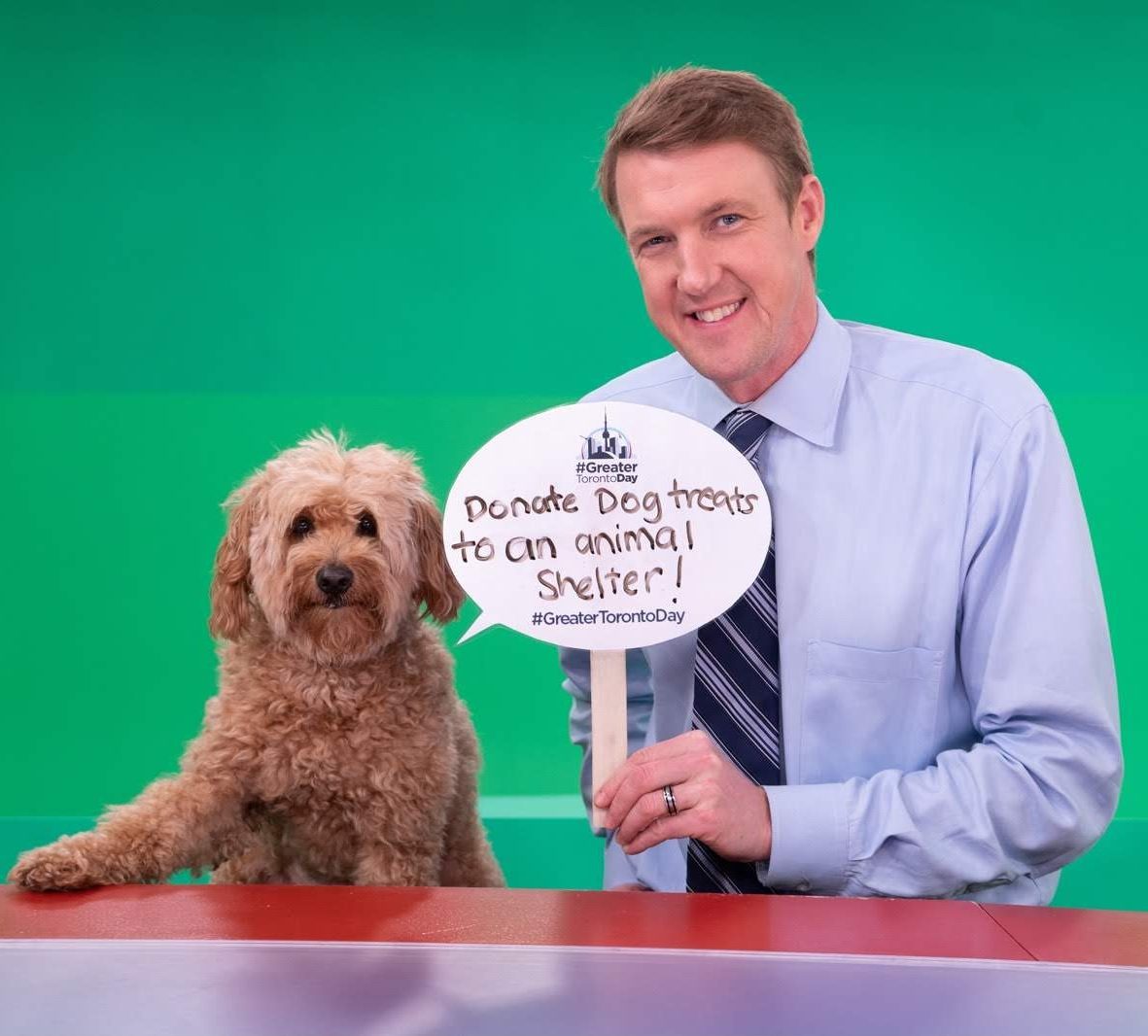 Greater Toronto Day 2019 - image