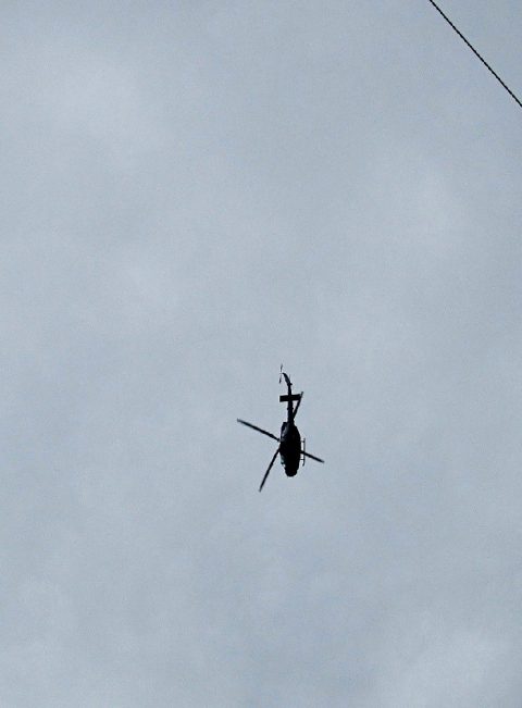 The last two days of Canadian Armed Forces helicopter training over Hamilton has been cancelled to avoid disturbing a nest of baby falcons.