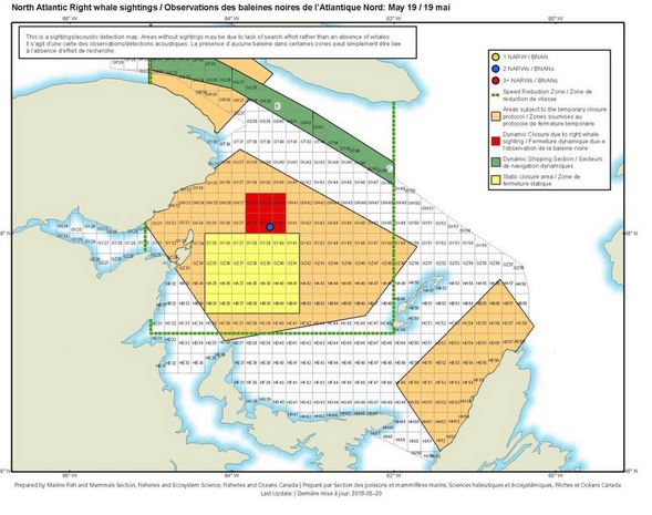 Canada moves to close 6 fishing areas after North Atlantic Right Whales ...