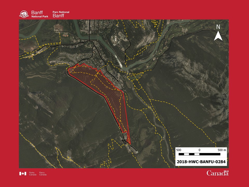 Several trails and recreational areas near the Banff Springs Hotel were closed May 22 after an aggressive black bear was seen in the area. 