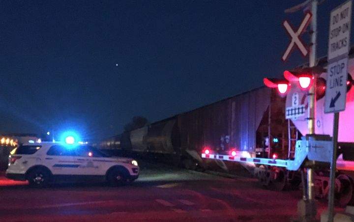 The RCMP are investigating a deadly collision involving a train in Cochrane, Alta. on Friday night.