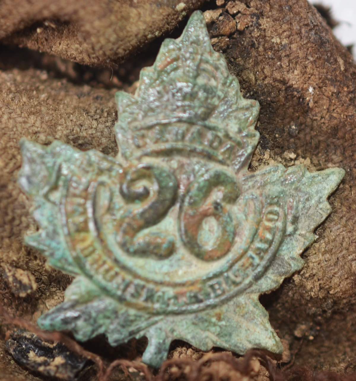 A collar badge from the 26th Canadian Infantry Battalion (New Brunswick), found with the remains of Private Thomas.
