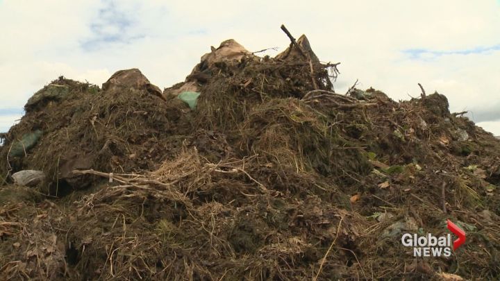 In Hamilton, 600 tonnes of compostable material is ending up in a landfill every week, due to the temporary closure of the city's central composting facility.