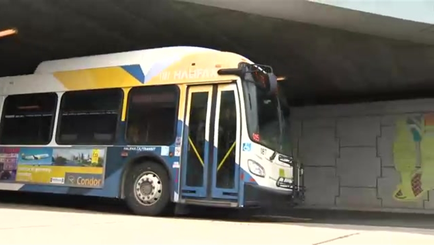 Halifax bus mechanic who allegedly created ‘poisoned work environment’ no longer works for HRM - image