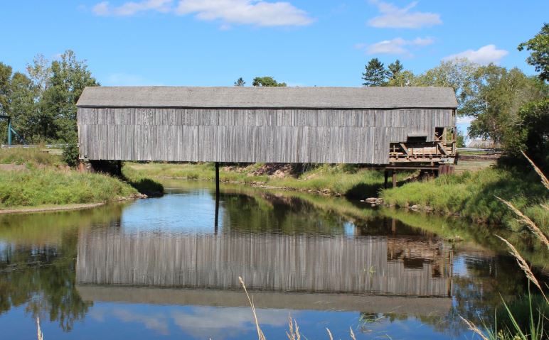New Brunswick's covered bridges have been included on a list of Canada's top endangered places. 