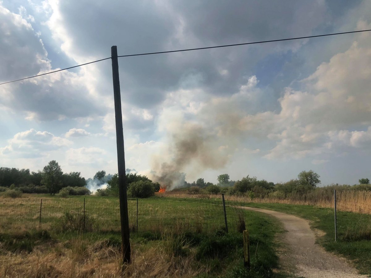 Several grass fires were lit in the Transcona Bioreserve on Sunday, May 27th .