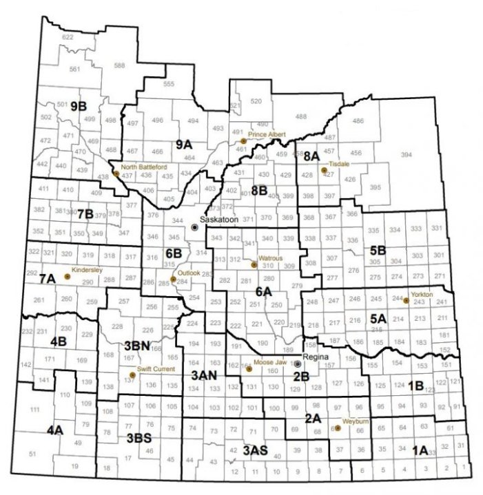 Your Agriculture: clubroot threat in Saskatchewan grows | Globalnews.ca