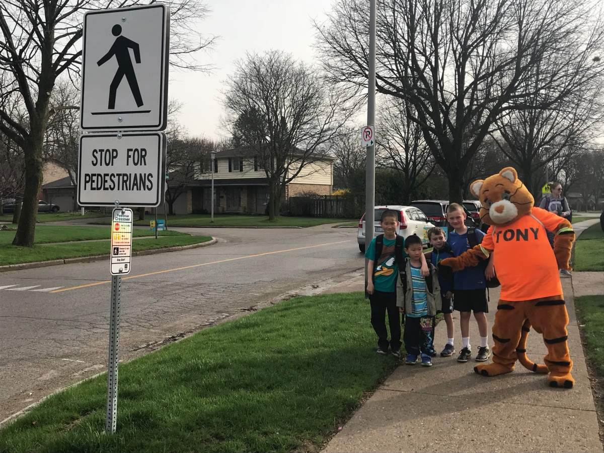 London police, local safety groups launch week-long pedestrian crossover blitz - image