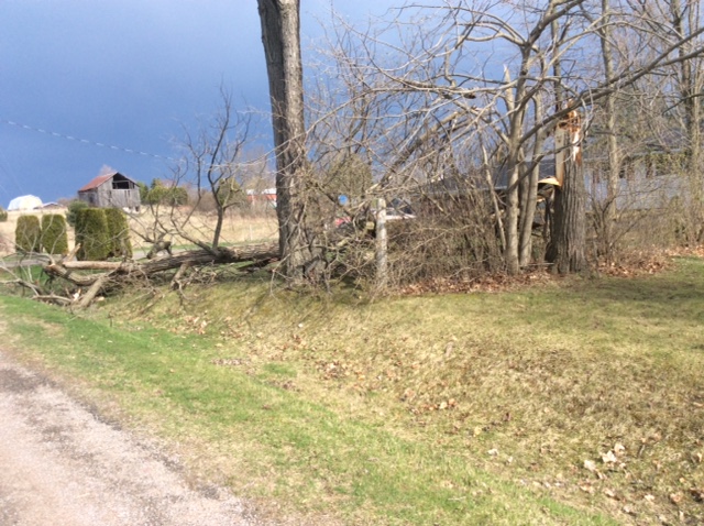 Storm damage in Ennismore