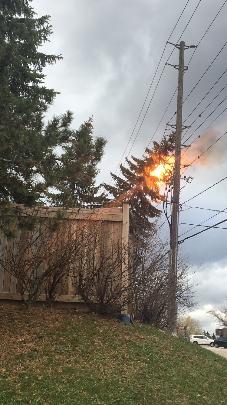 Severe winds in Barrie knock a tree onto a power line, causing it to catch fire.