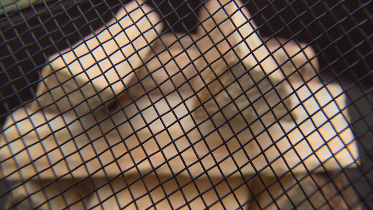 Sixteen residents have been ticketed for fire pit violations while eight others are in the investigation queue according to the Saskatoon Fire Department.