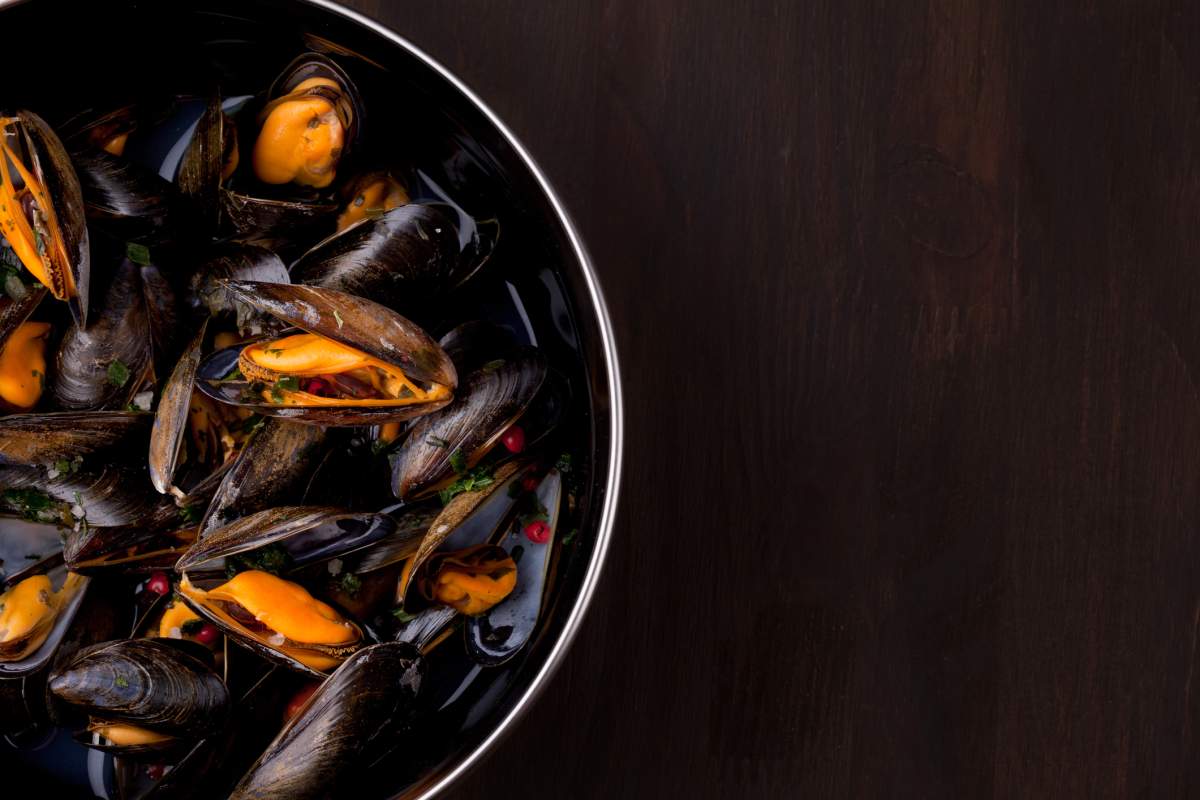 Researchers say mussels are filter feeders, meaning they absorb contaminants from the surrounding water into their tissue.