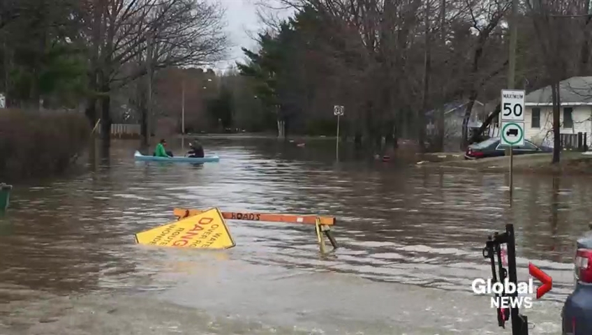 N.B. Officials Reiterate Warning About Edible Plants In Flood Zone ...