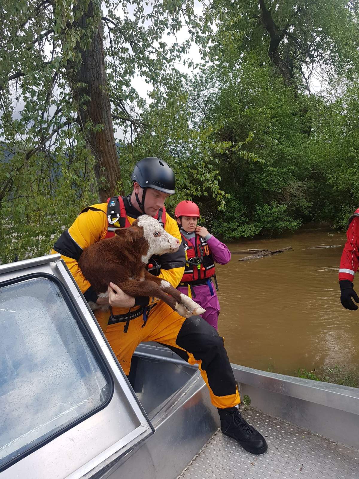 Credit: Brad Siemens