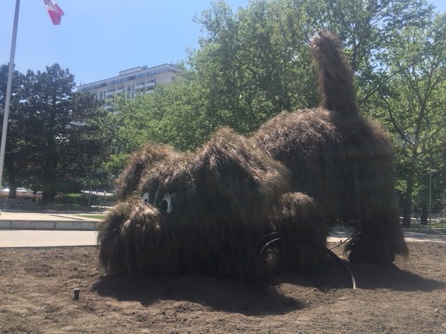 Hamilton horticulture staff design large grass dog in front of city hall - image