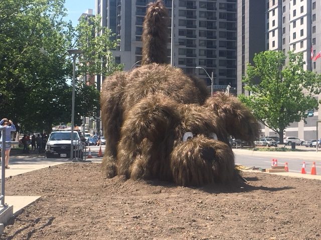 Hamilton's horticultural staff have been hard at work in the city forecourt.