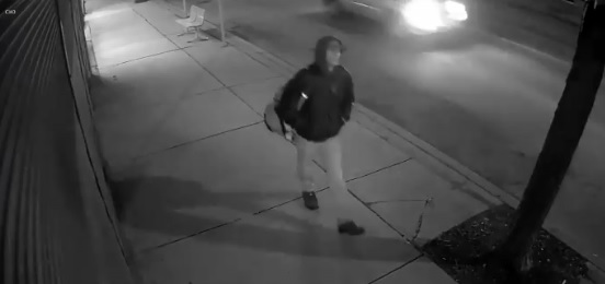 Hamilton police have released surveillance video of an alleged break and enter suspect.