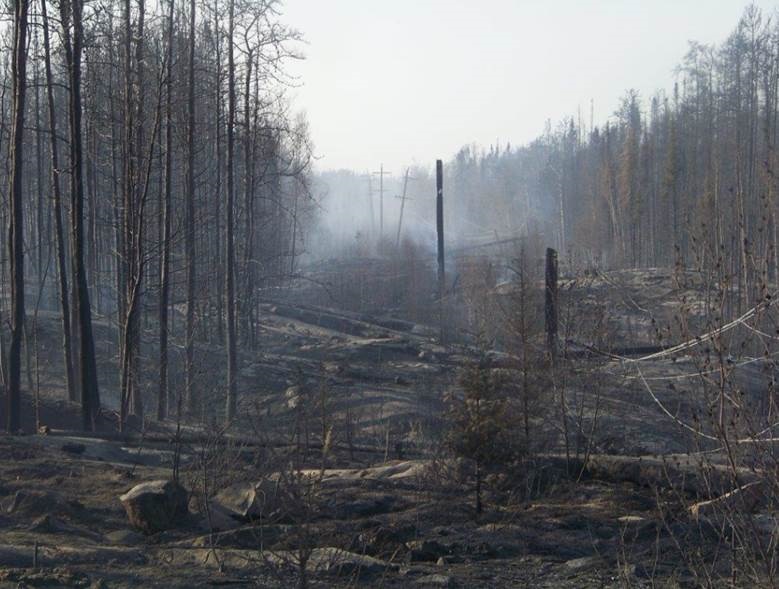 A wildfire burning near Little Grand Rapids has left a line of charred trees, earth and hydro poles.  