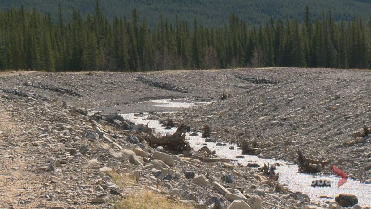 Province restored banks of the Evan-Thomas creek. May 10th, 2018.