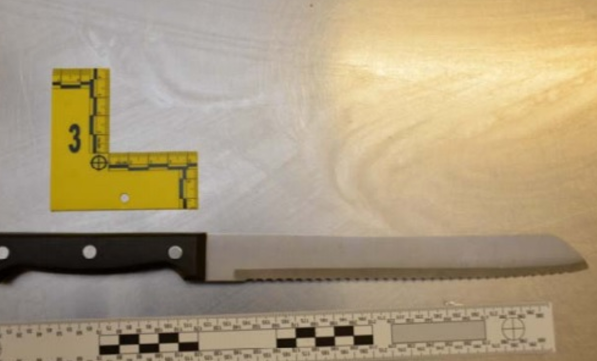 Kingston Police released a photo of the knife a man allegedly used after they say he broke into a humane society to steal a three-legged dog.