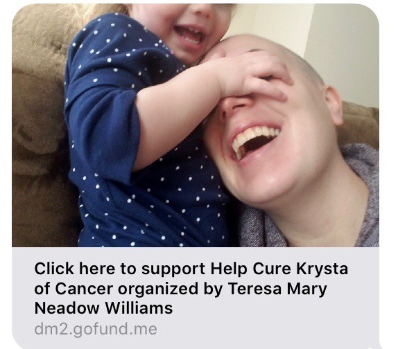 A screen capture of a GoFundMe account that has since been taken down.