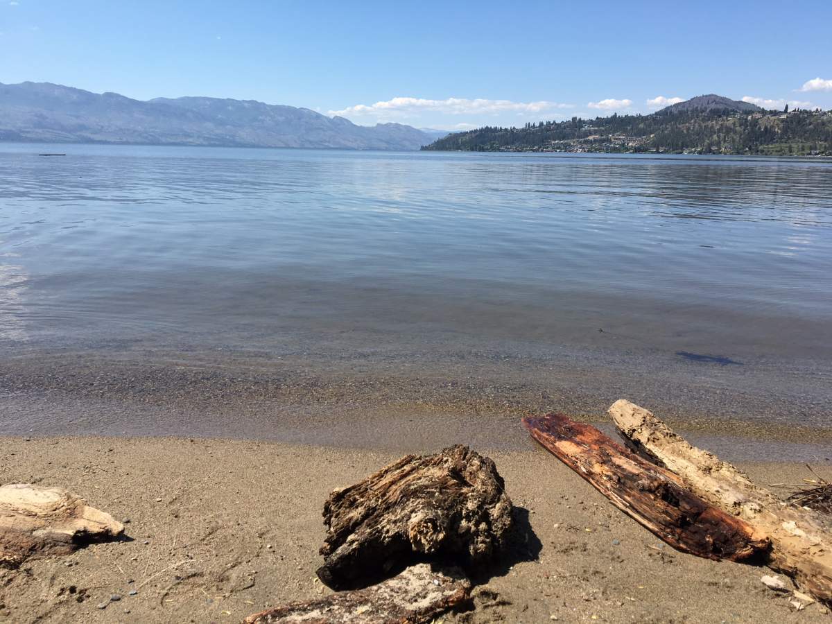 Concerns turn from creeks to Okanagan Lake - image