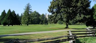 The Vancouver Park Board says dozens of trees at Langara Golf Course have been vandalized.