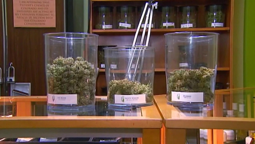 Bowls of marijuana at a pot shop.