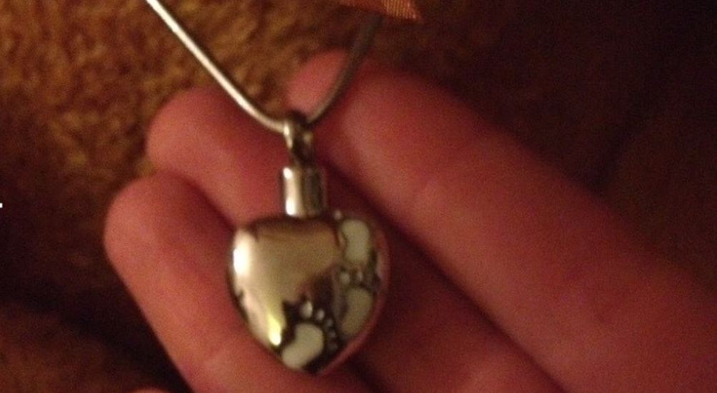 Kingston Police are asking for information about a stolen necklace containing ashes.