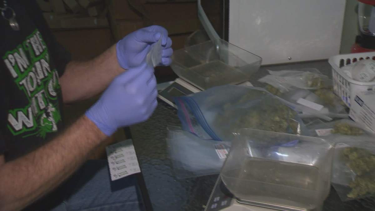 100 lbs of pot seized in Okanagan Falls dispensary bust - image