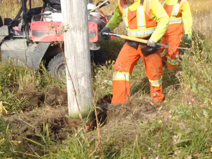 SaskPower said the cost to maintain wood poles are approximately $50 per pole, on average, while it costs about $2,500 to replace each pole.
