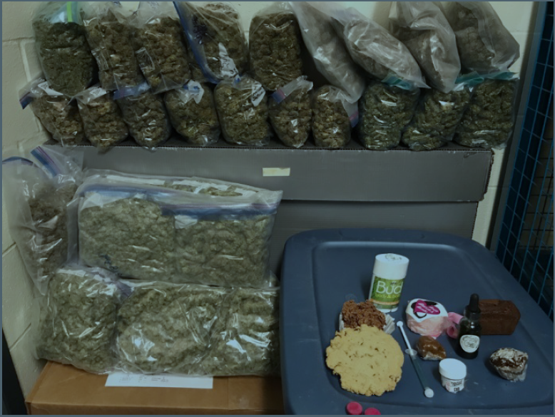 100 lbs of pot seized in Okanagan Falls dispensary bust - image