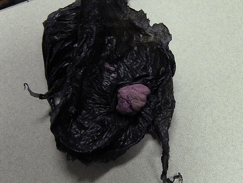 Ottawa police say they have found a 'purple, putty-like substance' possibly containing Fentanyl Wednesday.